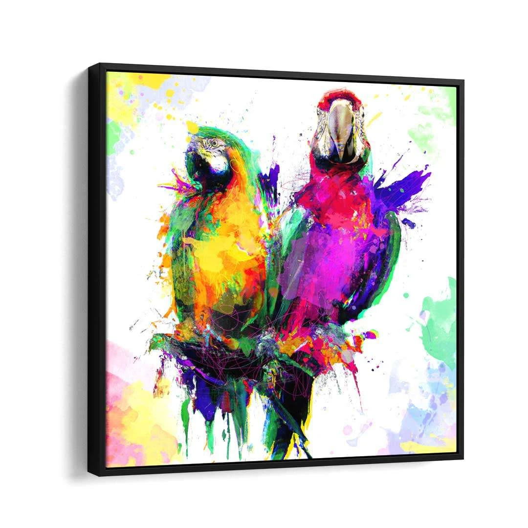 Papagei 6 Papagei – Bild 4