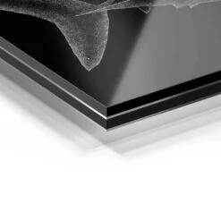 Shark 22 Shark -Artmind 0403a wandbild artmind acrylglas galerie bond detail acryl