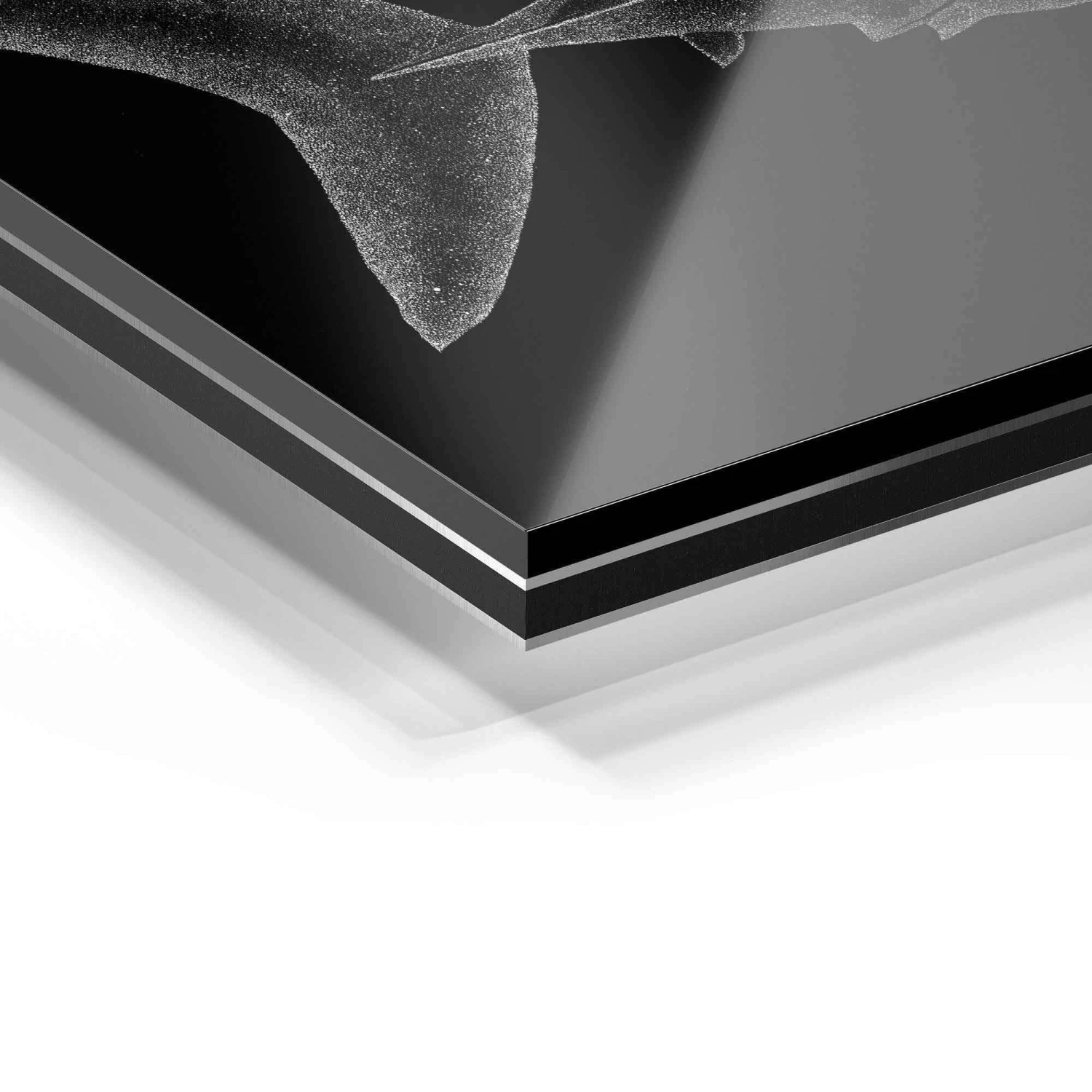 Shark 11 Shark – Bild 9