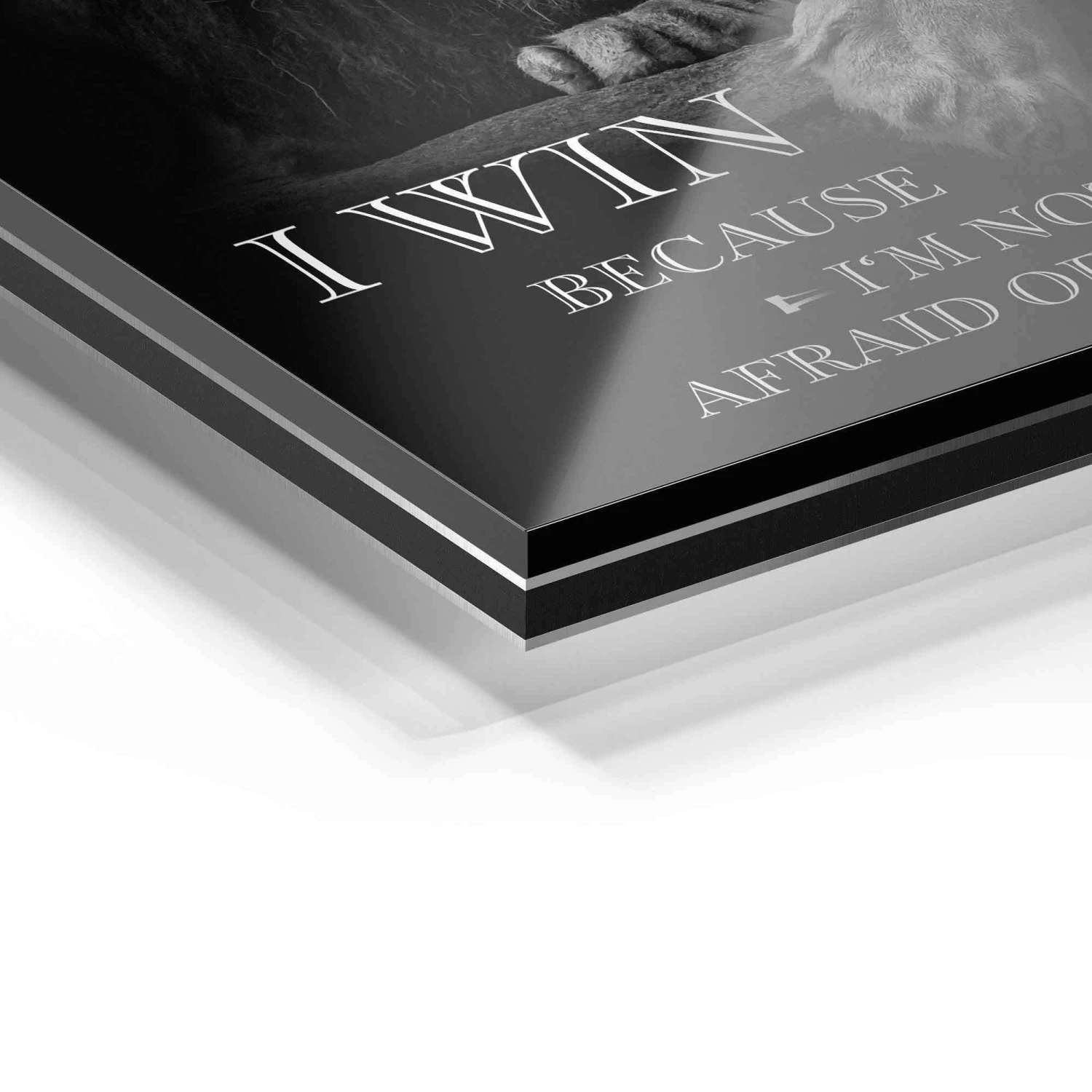 I Win - Not Afraid Of Losing 12 I Win - Not Afraid Of Losing – Bild 10