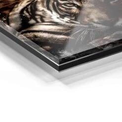 Enjoy Life 21 Enjoy Life -Artmind 1193 wandbild artmind acrylglas galerie bond detail acryl 44f80d2b c022 48fd 984f e53ced8adb04