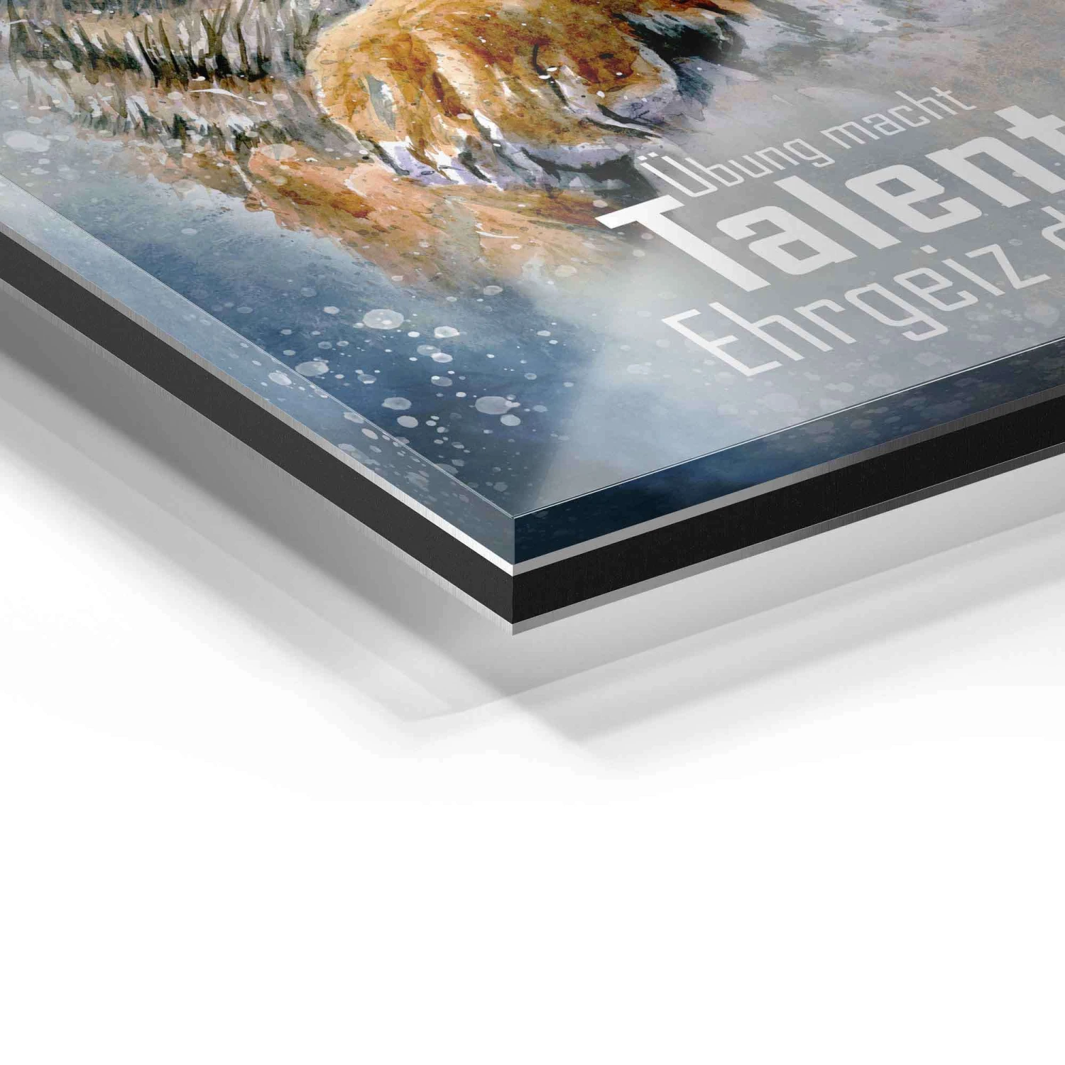 Talent & Ehrgeiz 13 Talent & Ehrgeiz – Bild 11