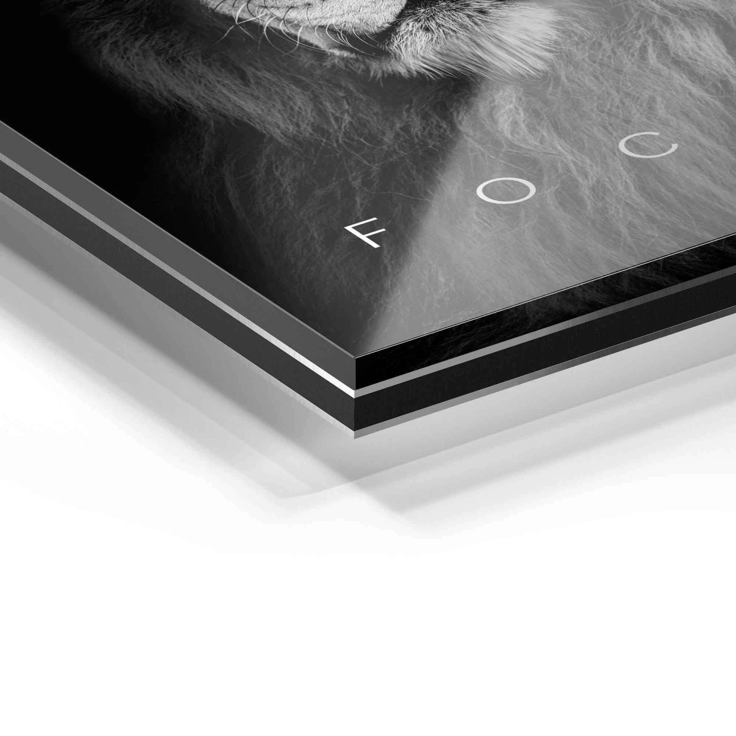 Focus 13 Focus – Bild 11