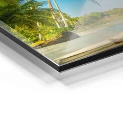 Palm Beach 23 Palm Beach -Artmind 1515 wandbild artmind acrylglas galerie bond detail acryl