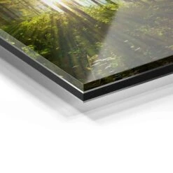 Sonnenstrahlen Im Wald 24 Sonnenstrahlen Im Wald -Artmind 1518 wandbild artmind acrylglas galerie bond detail acryl