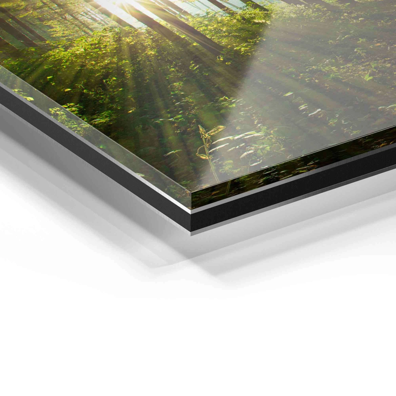 Sonnenstrahlen Im Wald 12 Sonnenstrahlen Im Wald – Bild 10