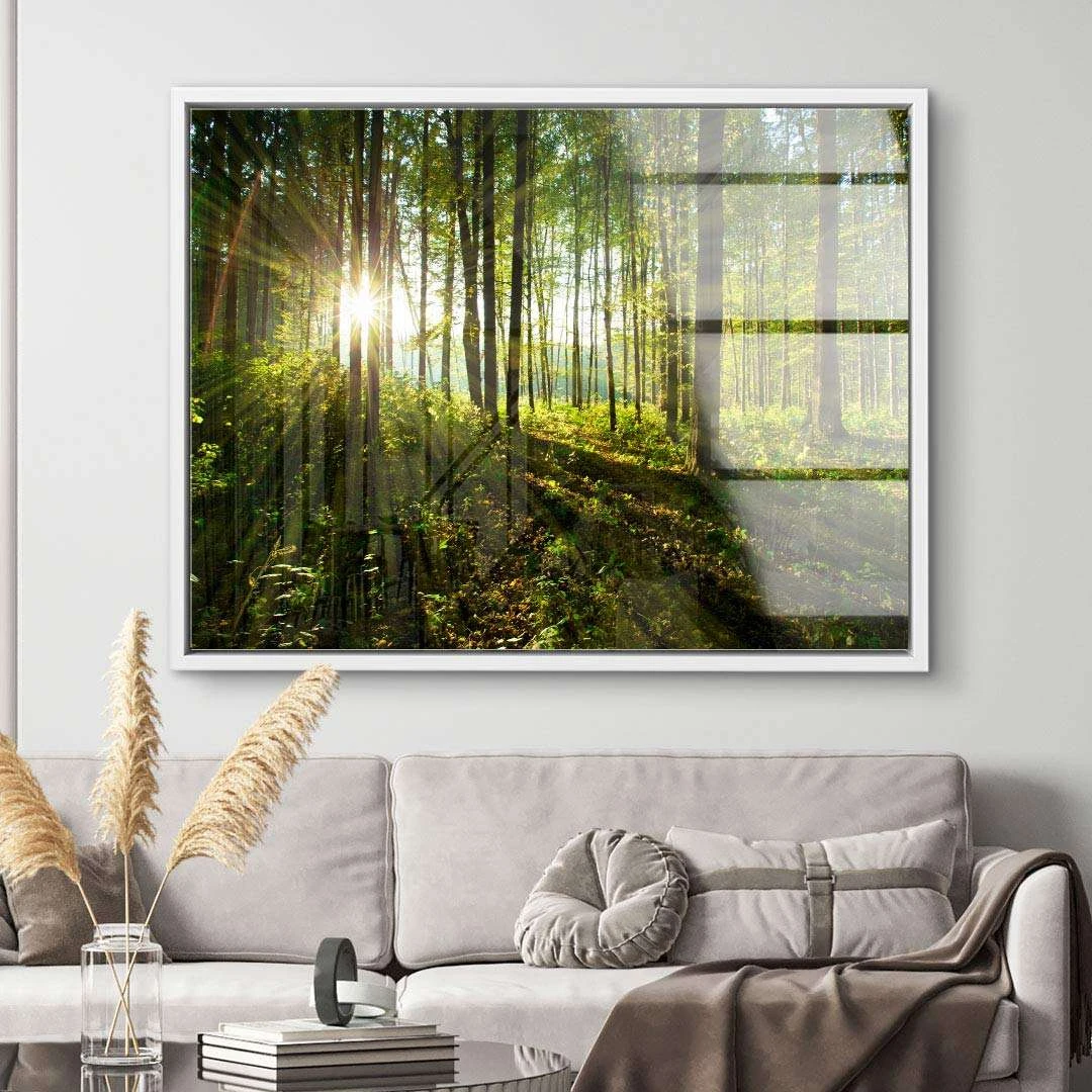 Sonnenstrahlen Im Wald 8 Sonnenstrahlen Im Wald – Bild 6