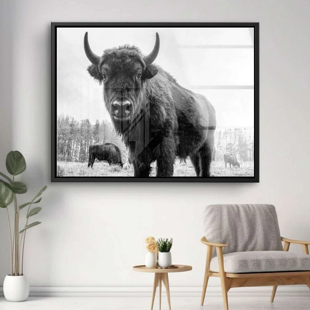 Auerochsen Bulle 8 Auerochsen Bulle – Bild 6