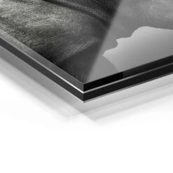 Rhino Portrait 23 Rhino Portrait -Artmind 1567 wandbild artmind acrylglas galerie bond detail acryl