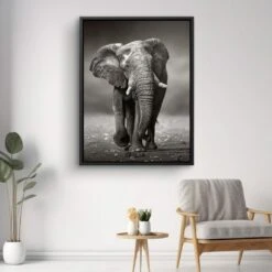 Young Elephant 19 Young Elephant -Artmind 1596a 12 wandbild artwork artmind leinwandbilder canva kunst bilder