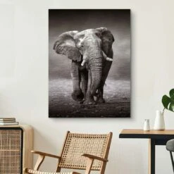 Young Elephant 20 Young Elephant -Artmind 1596a 5 wandbild artwork artmind leinwandbilder canva kunst bilder