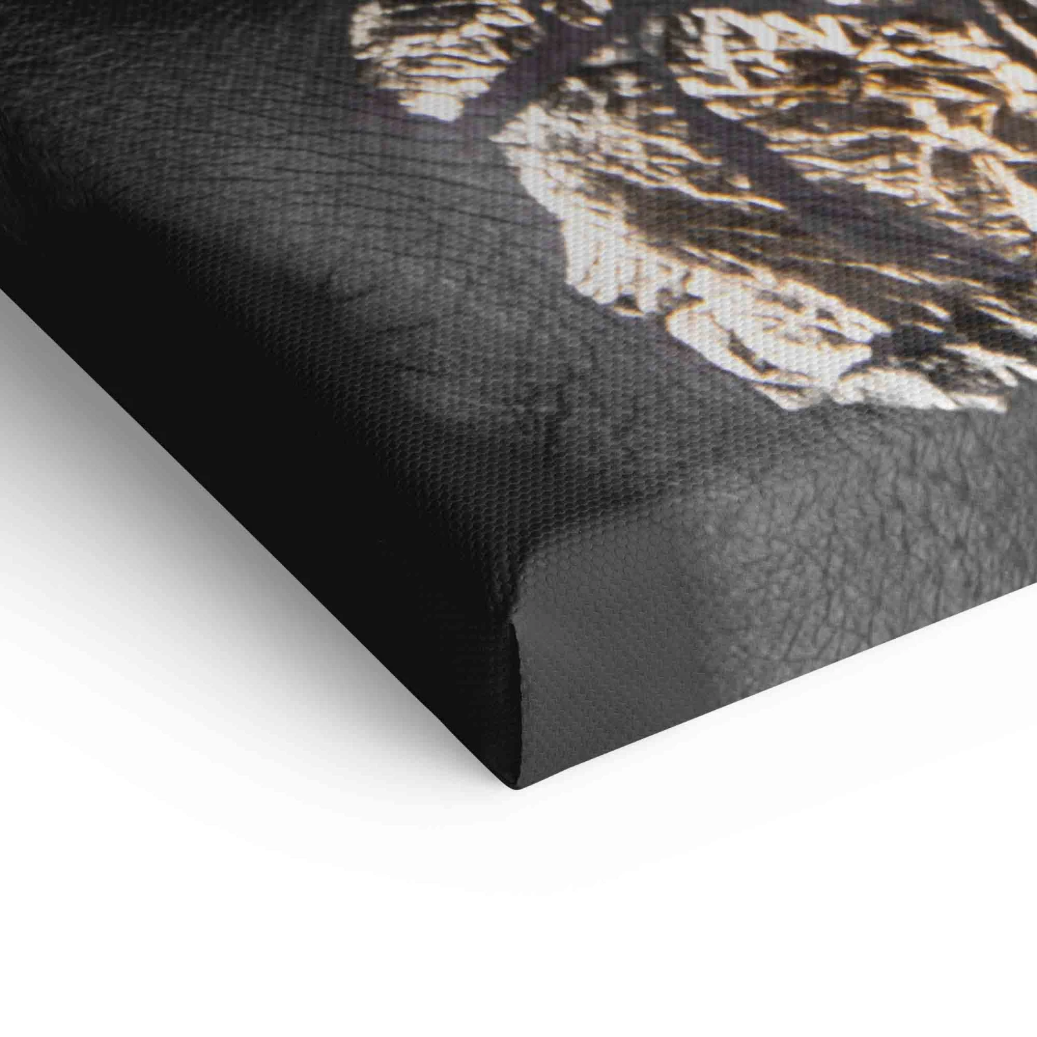 Gold View 12 Gold View – Bild 10