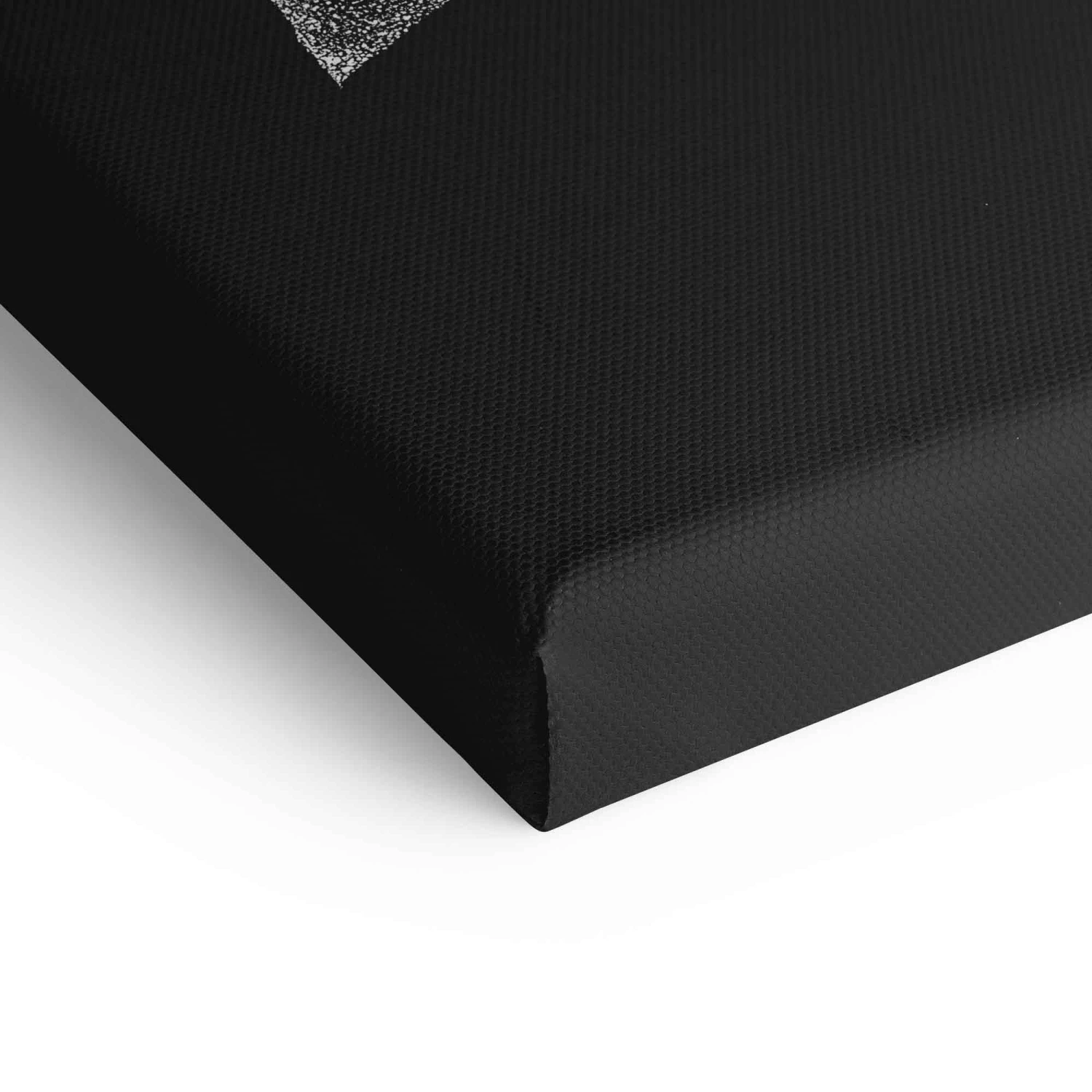 Shark 10 Shark – Bild 8