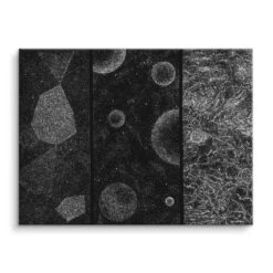 The Space In Between