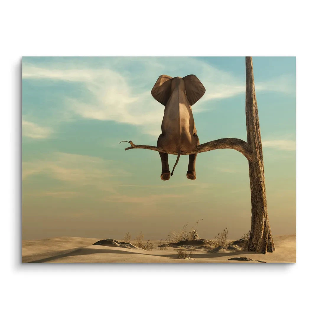 Easy One - Galerieabzug 3 Easy One - Galerieabzug