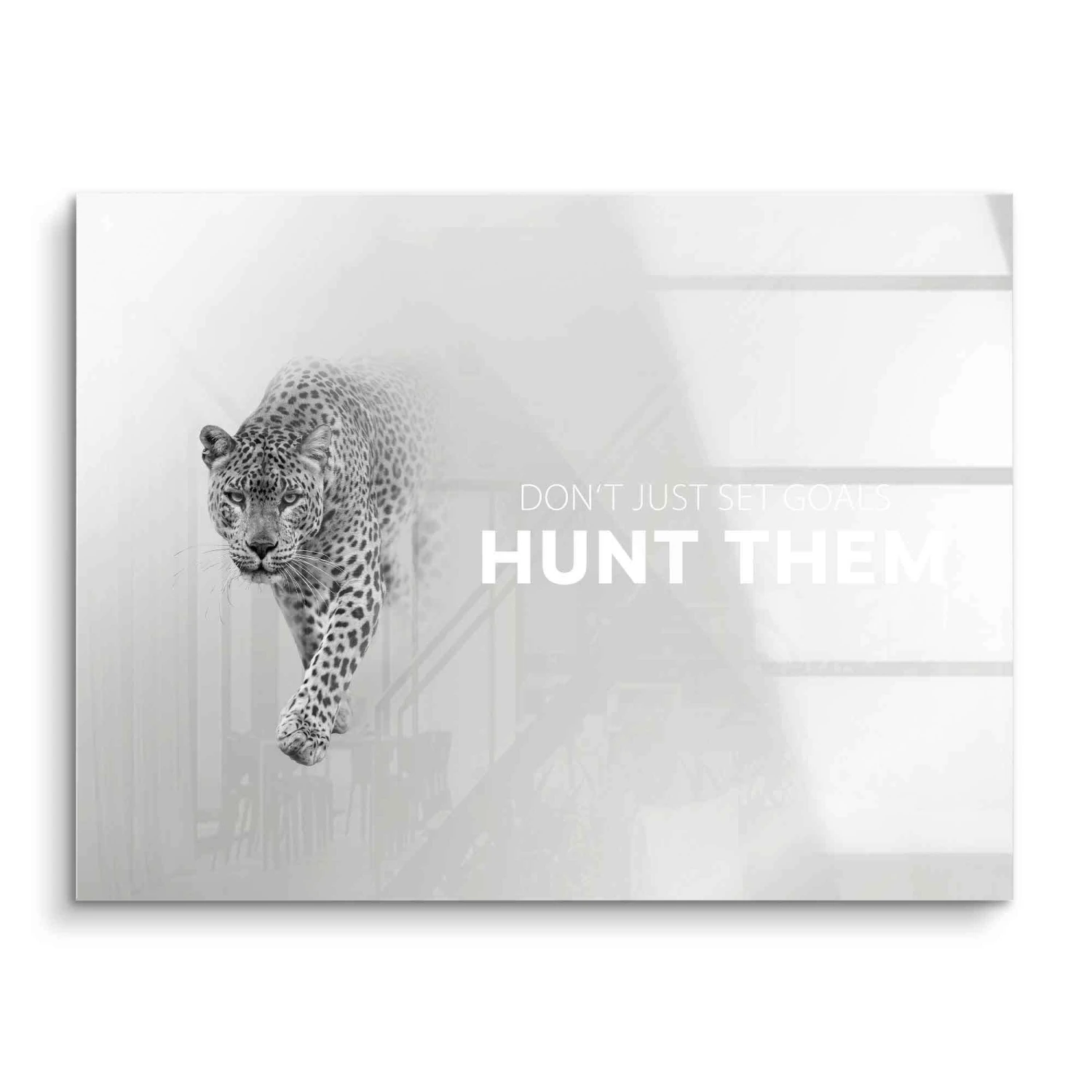 Hunt Your Goals 4 Hunt Your Goals – Bild 2