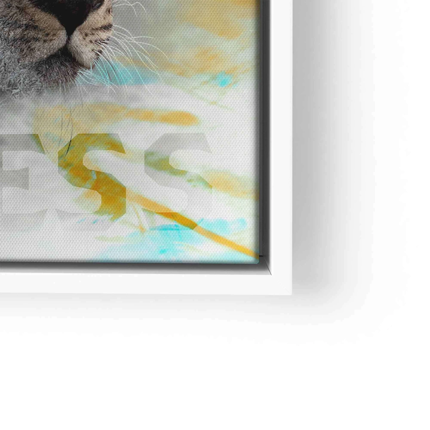 Fearless - Limitless 15 Fearless - Limitless – Bild 13