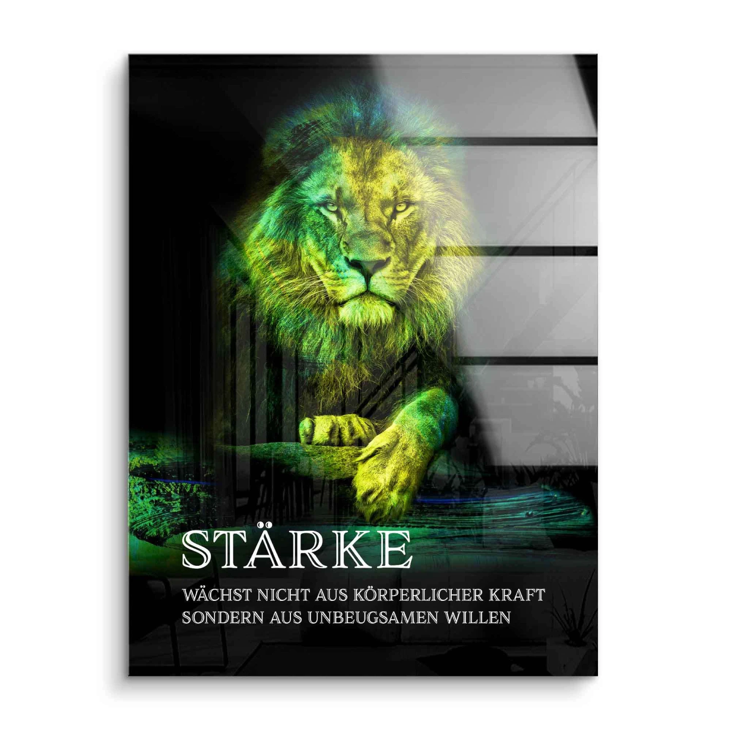 Stärke 4 Stärke – Bild 2