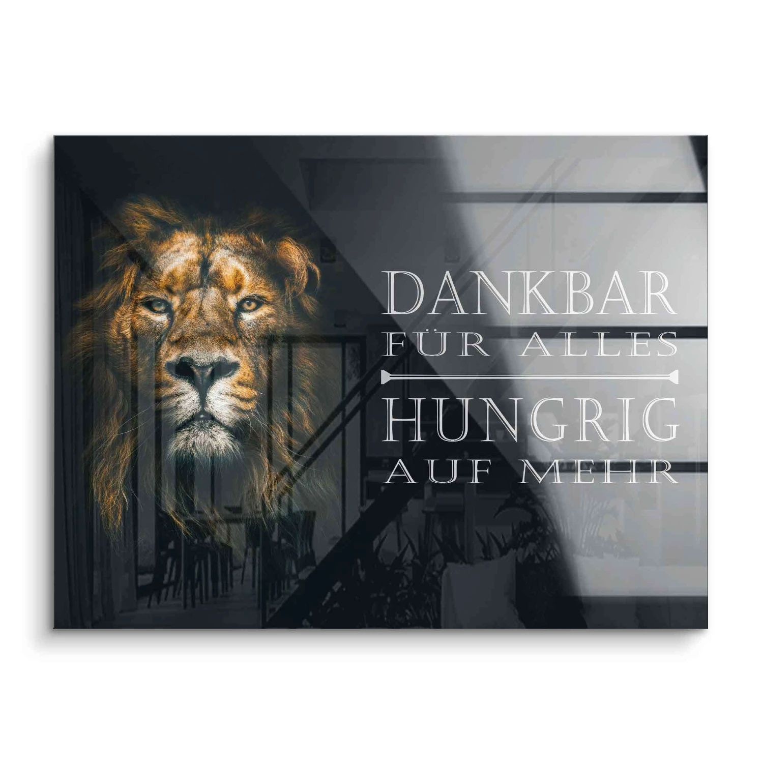 Dankbar & Hungrig 5 Dankbar & Hungrig – Bild 3