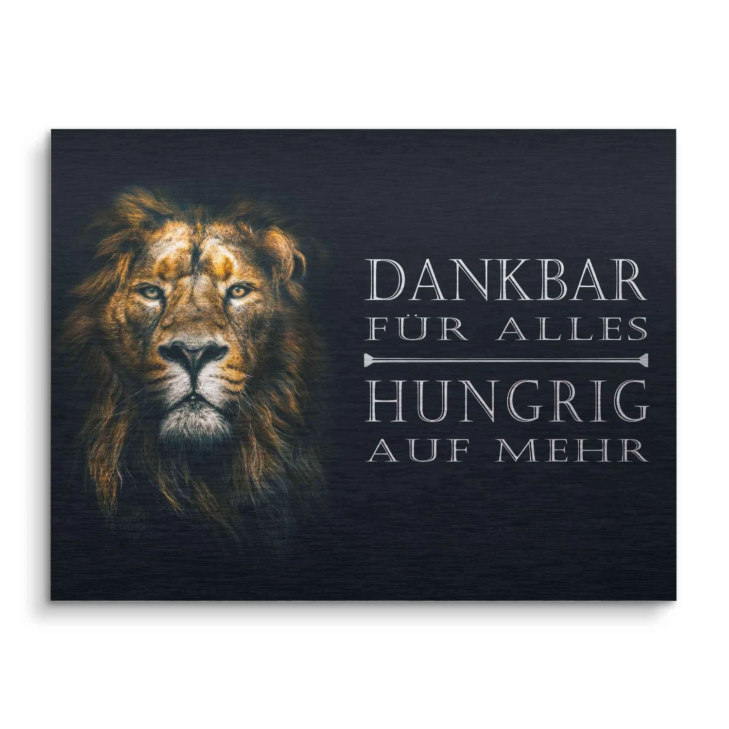 Dankbar & Hungrig 4 Dankbar & Hungrig – Bild 2