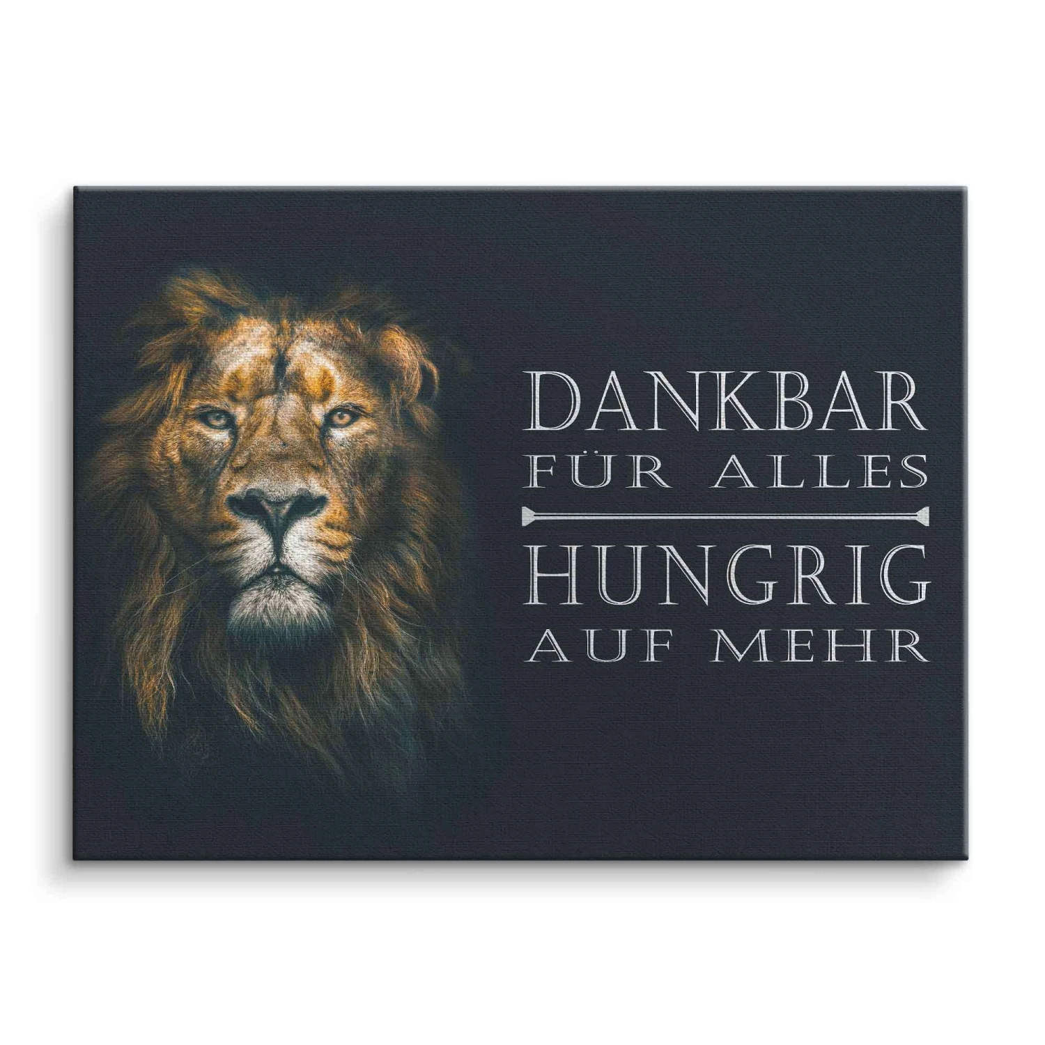 Dankbar & Hungrig 3 Dankbar & Hungrig