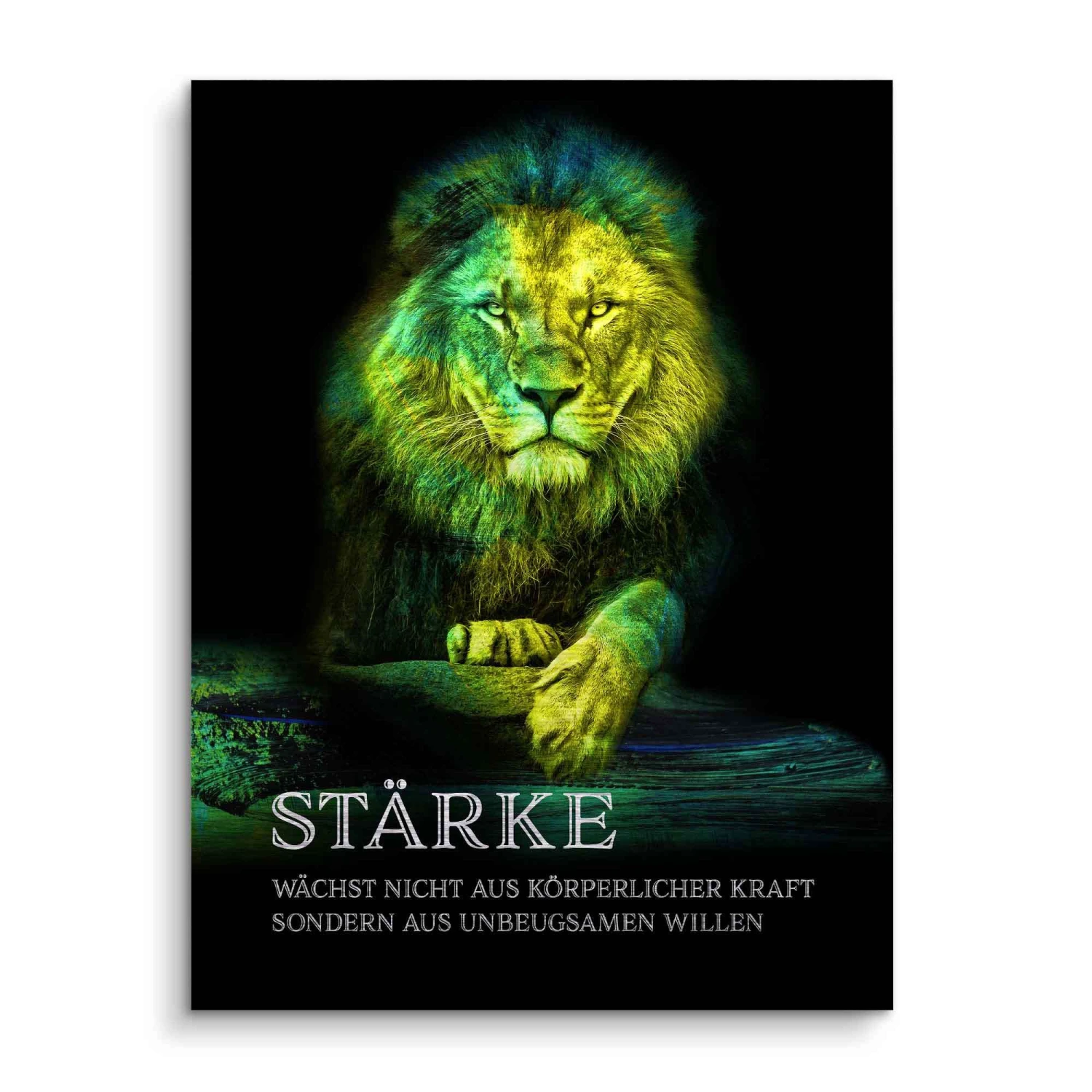 Stärke 5 Stärke – Bild 3