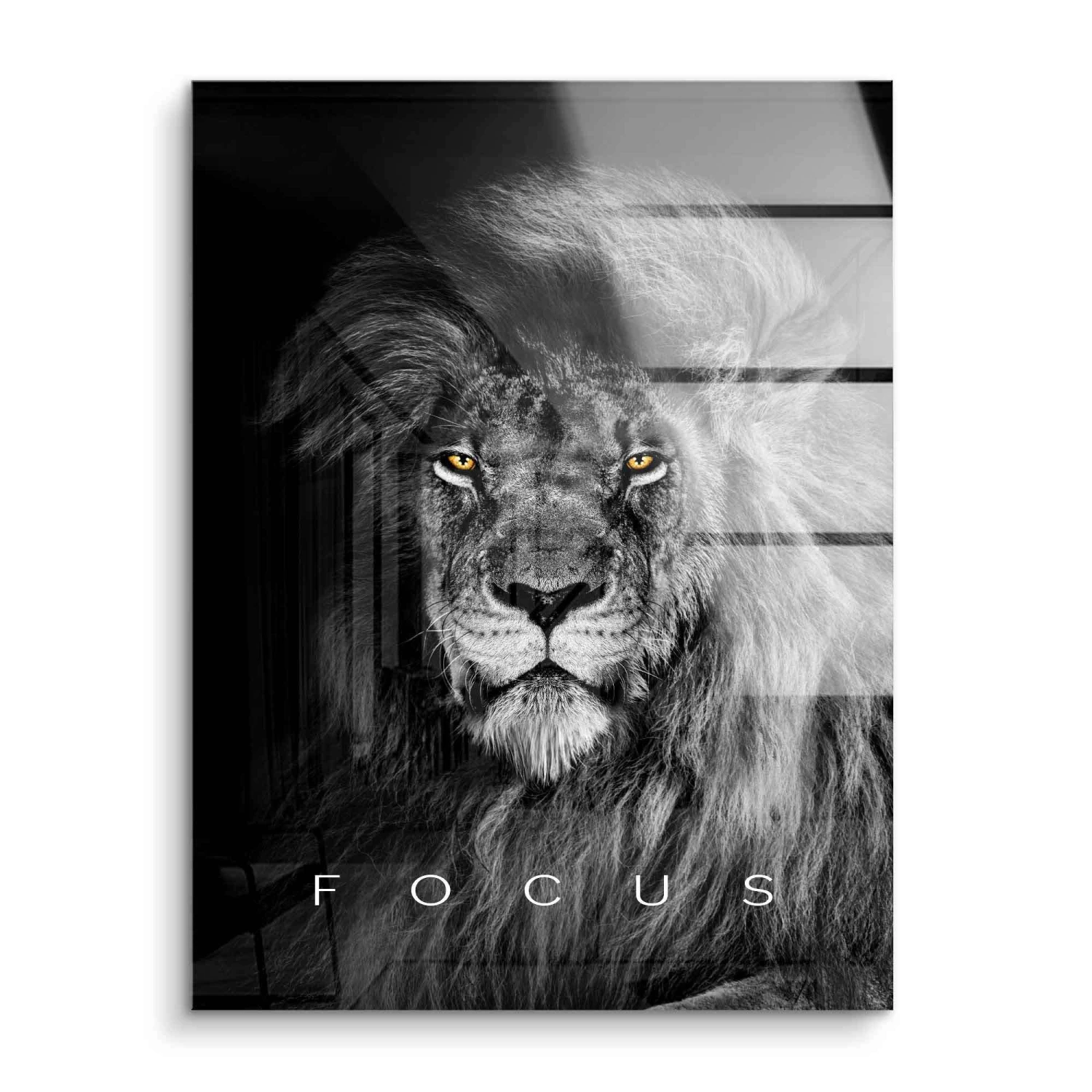 Focus 4 Focus – Bild 2