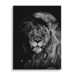 Focus 17 Focus -Artmind motivationsbild loewe focus leinwand