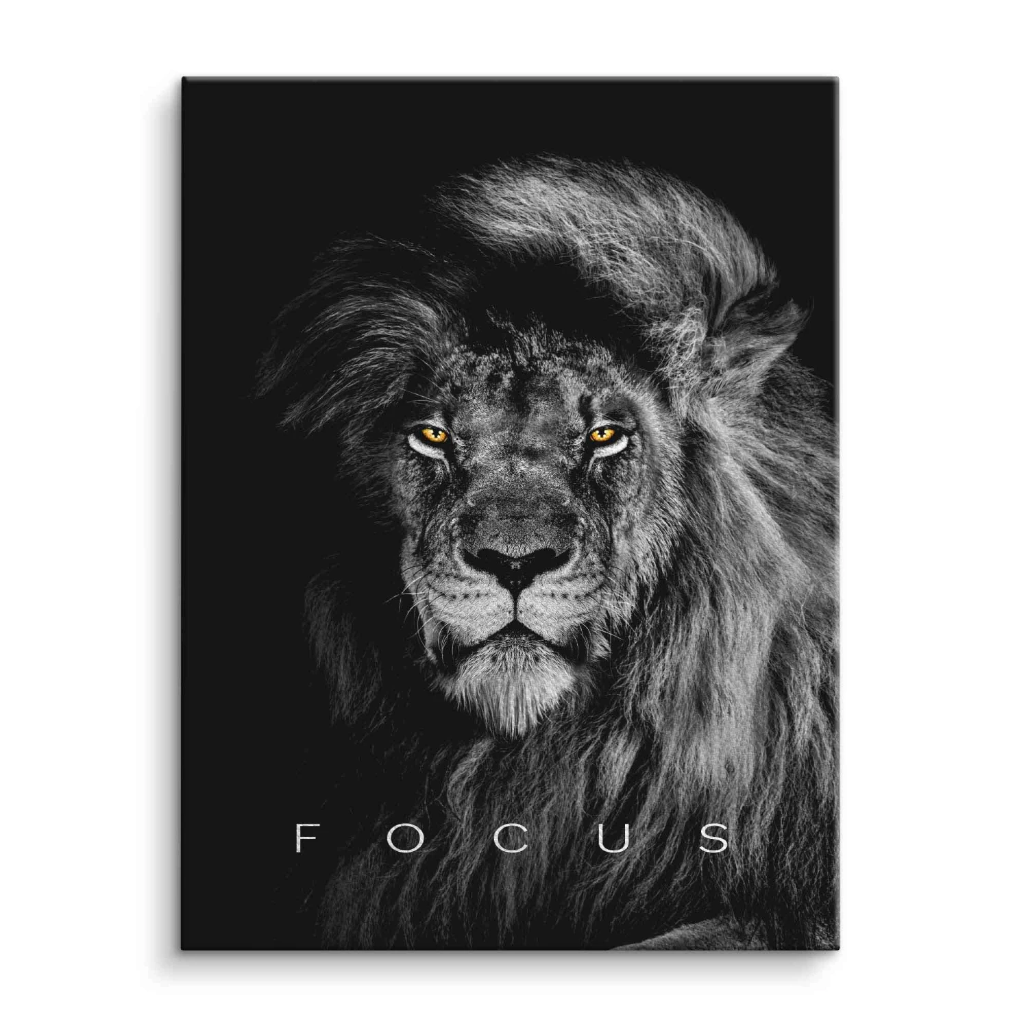 Focus 5 Focus – Bild 3