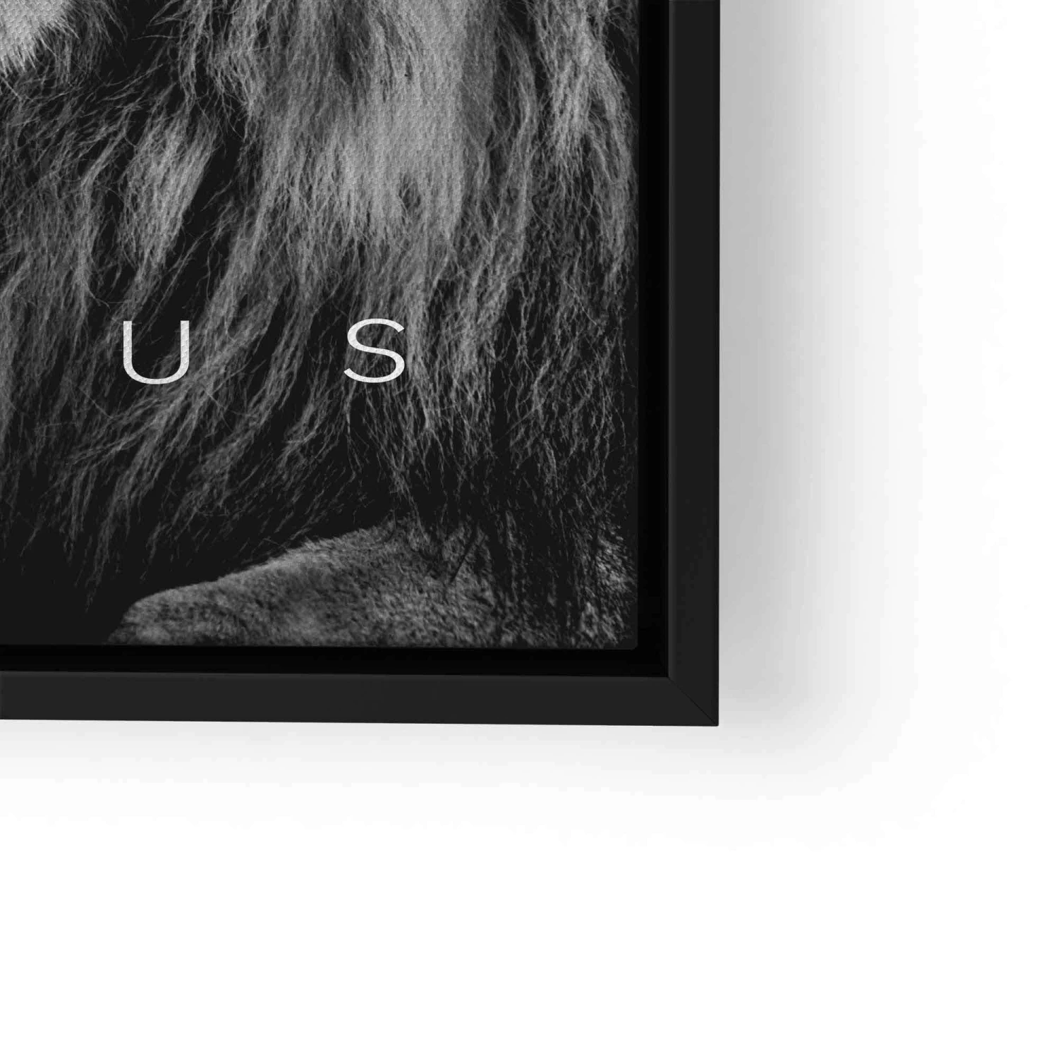 Focus 14 Focus – Bild 12