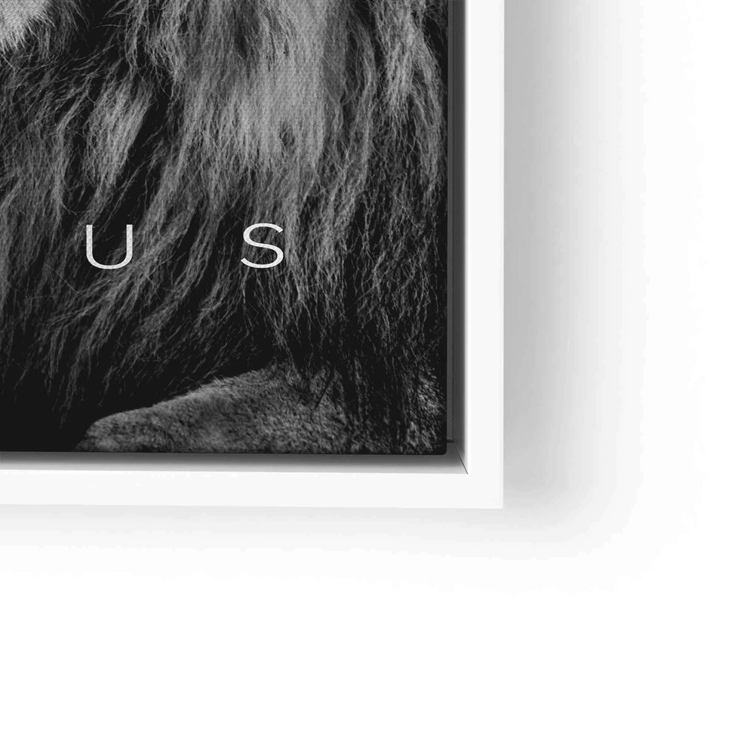 Focus 15 Focus – Bild 13