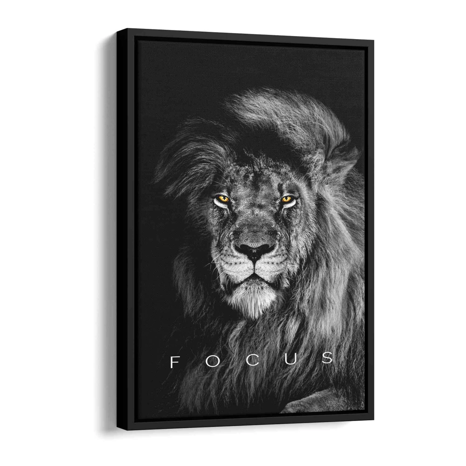 Focus 6 Focus – Bild 4