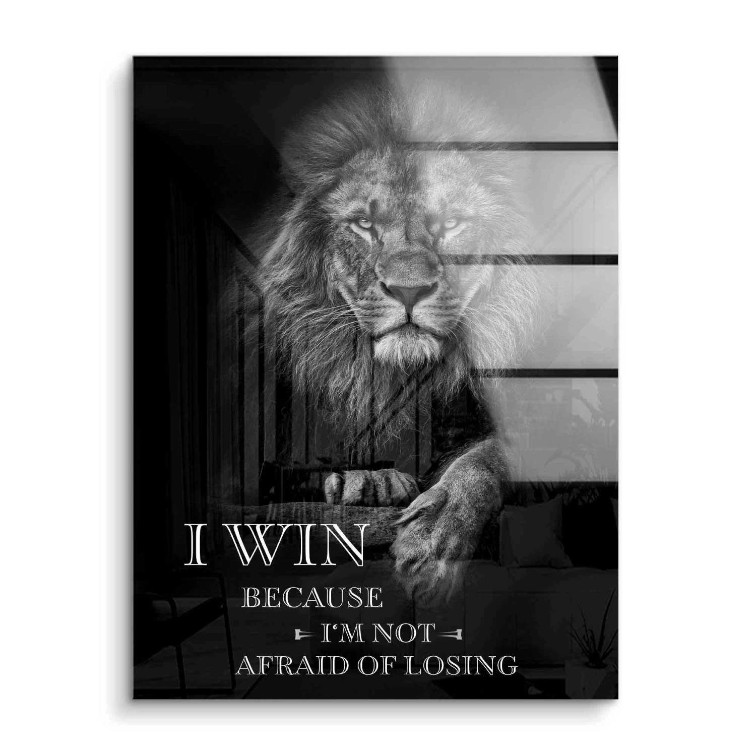 I Win - Not Afraid Of Losing 4 I Win - Not Afraid Of Losing – Bild 2