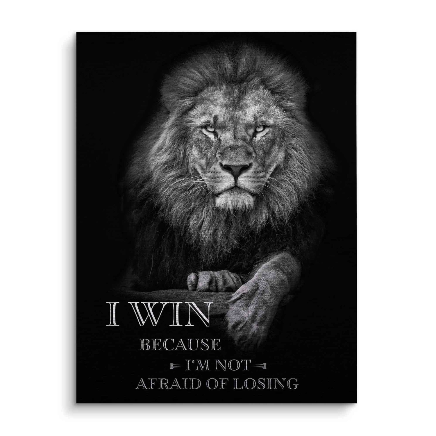 I Win - Not Afraid Of Losing 5 I Win - Not Afraid Of Losing – Bild 3