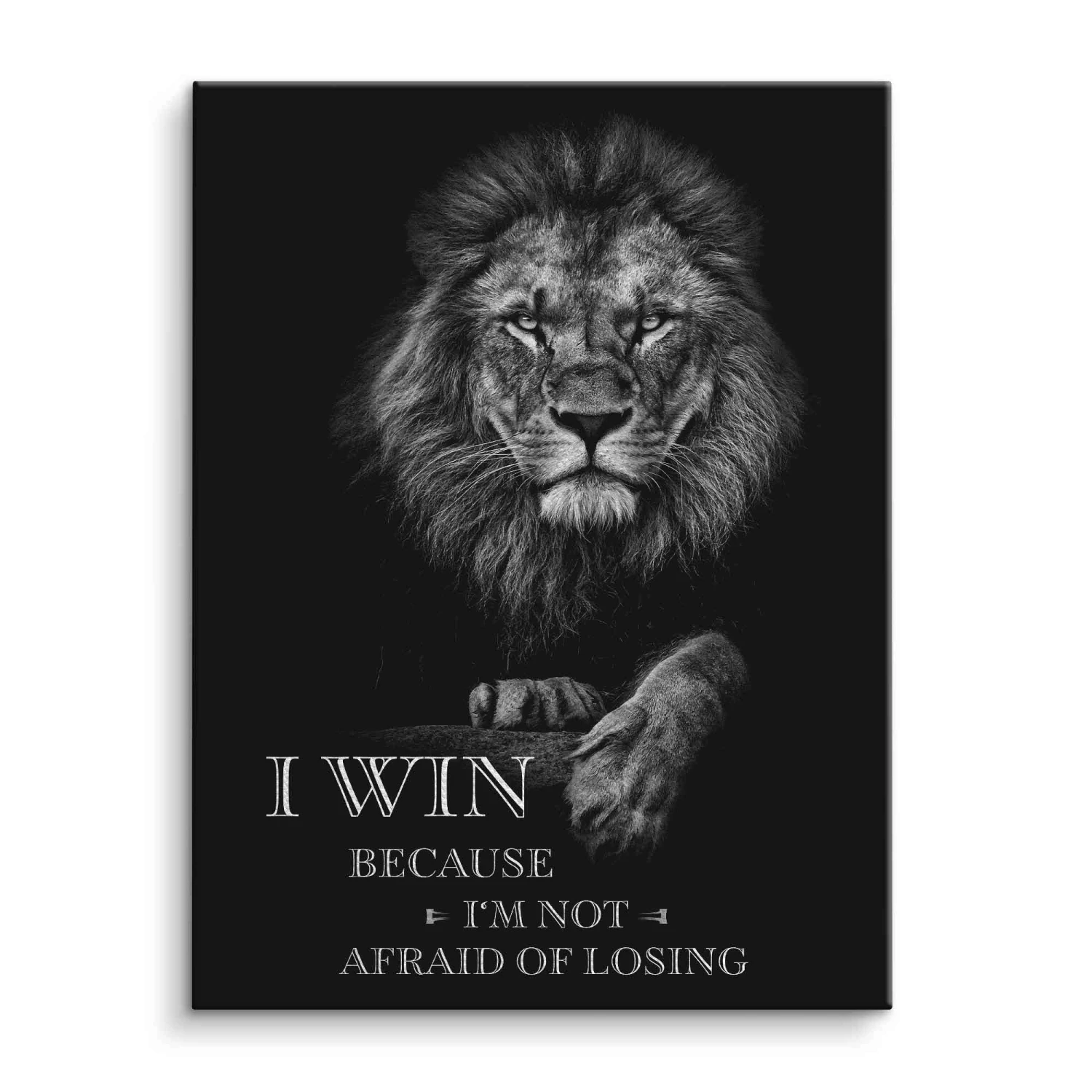 I Win - Not Afraid Of Losing 3 I Win - Not Afraid Of Losing