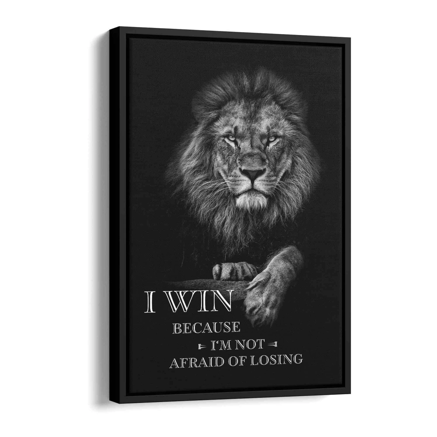 I Win - Not Afraid Of Losing 6 I Win - Not Afraid Of Losing – Bild 4