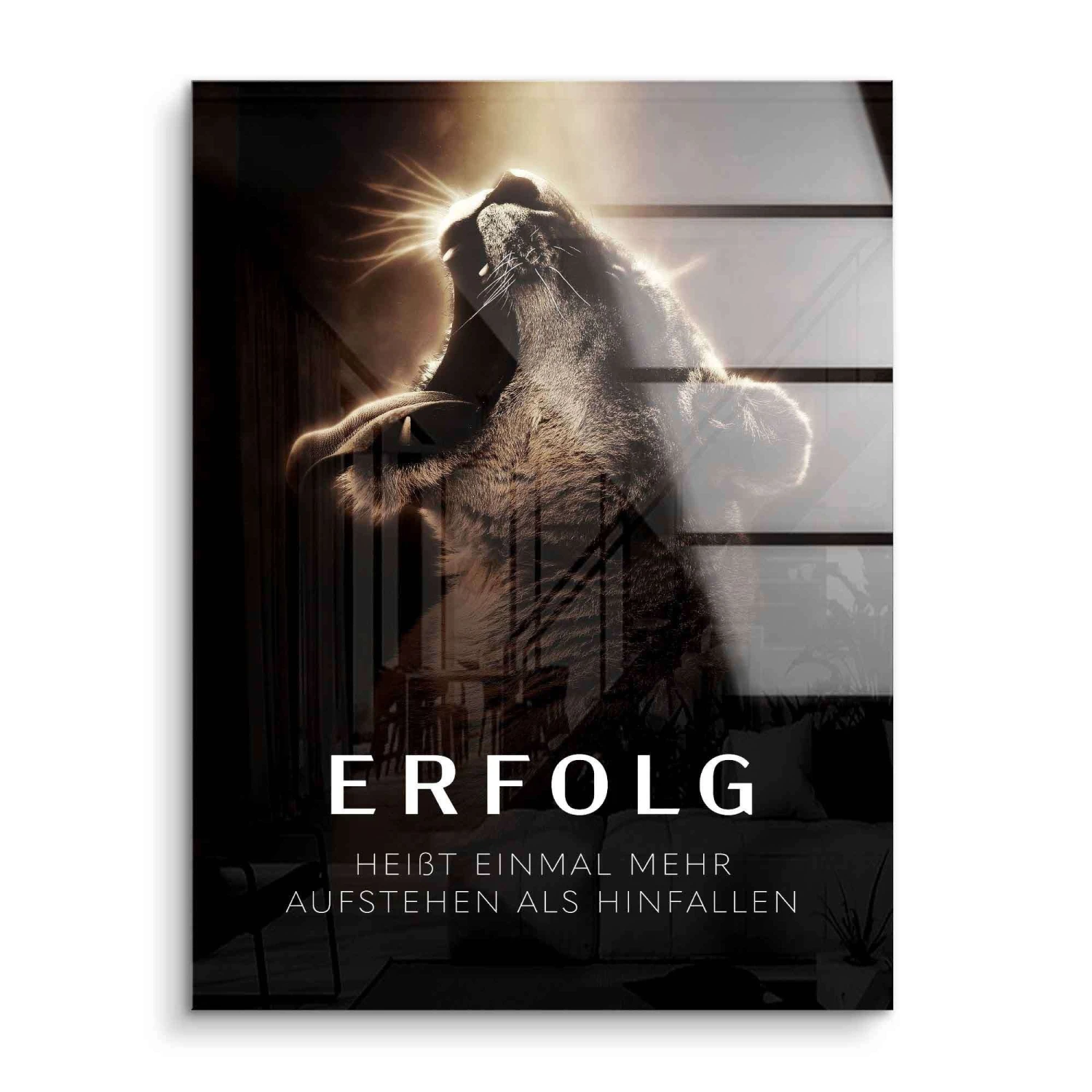 Erfolg Heißt 4 Erfolg Heißt – Bild 2