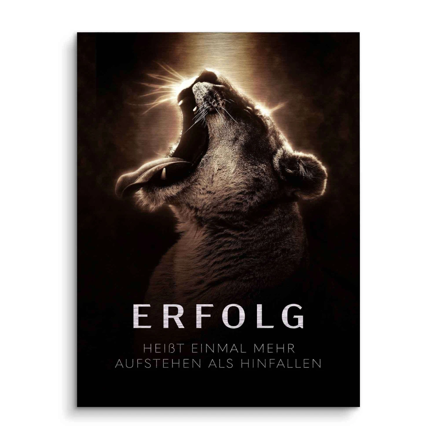 Erfolg Heißt 5 Erfolg Heißt – Bild 3