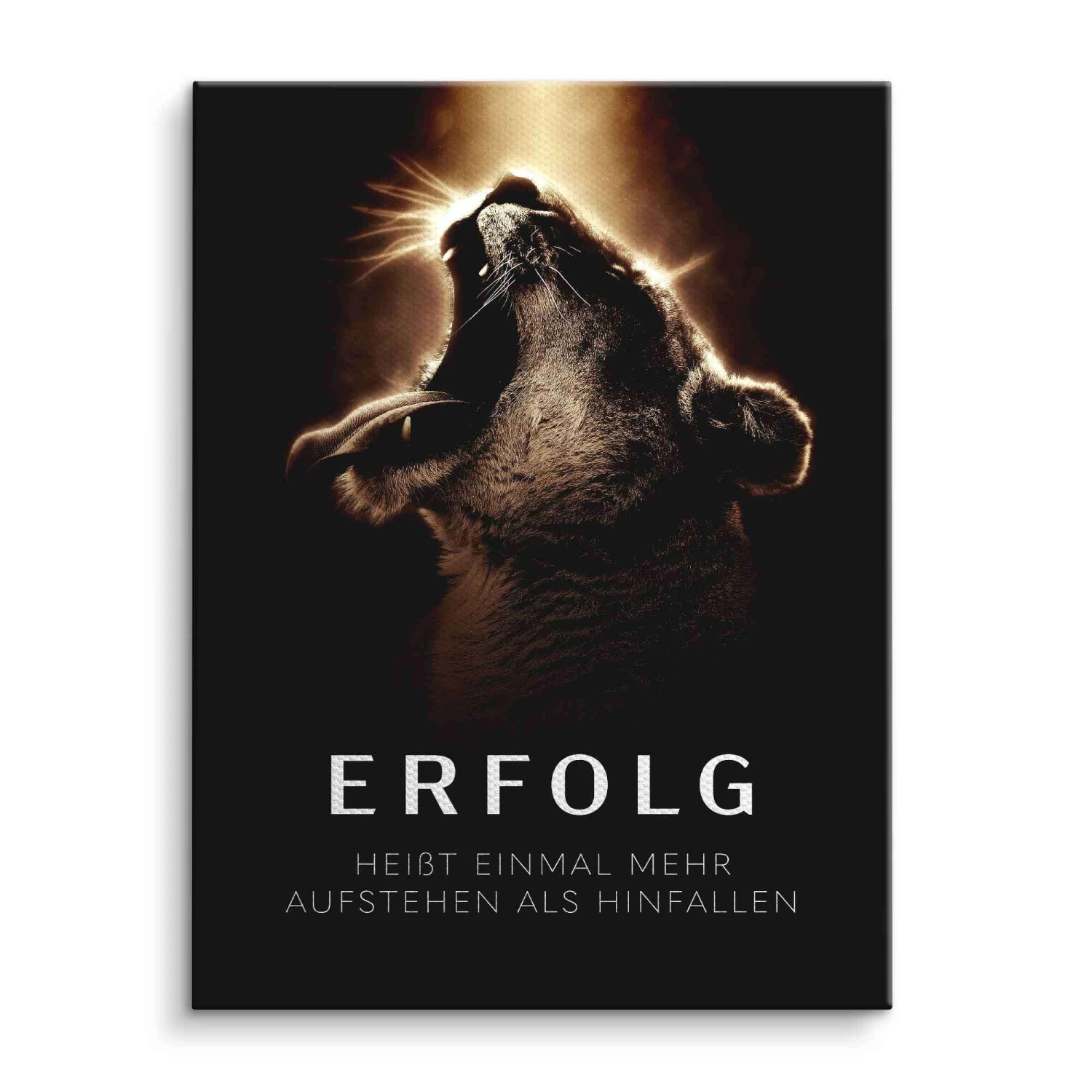 Erfolg Heißt 3 Erfolg Heißt