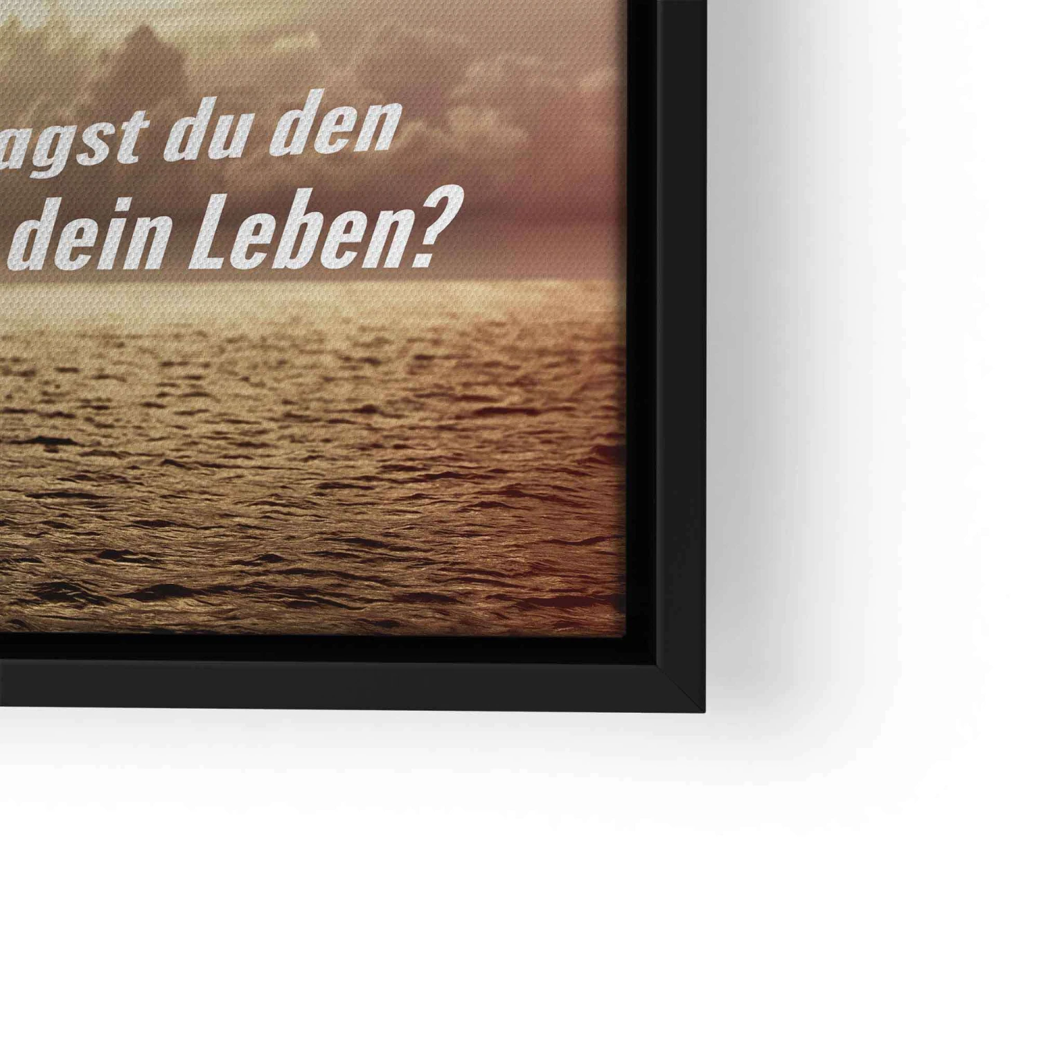 Sprung Des Lebens 13 Sprung Des Lebens – Bild 11