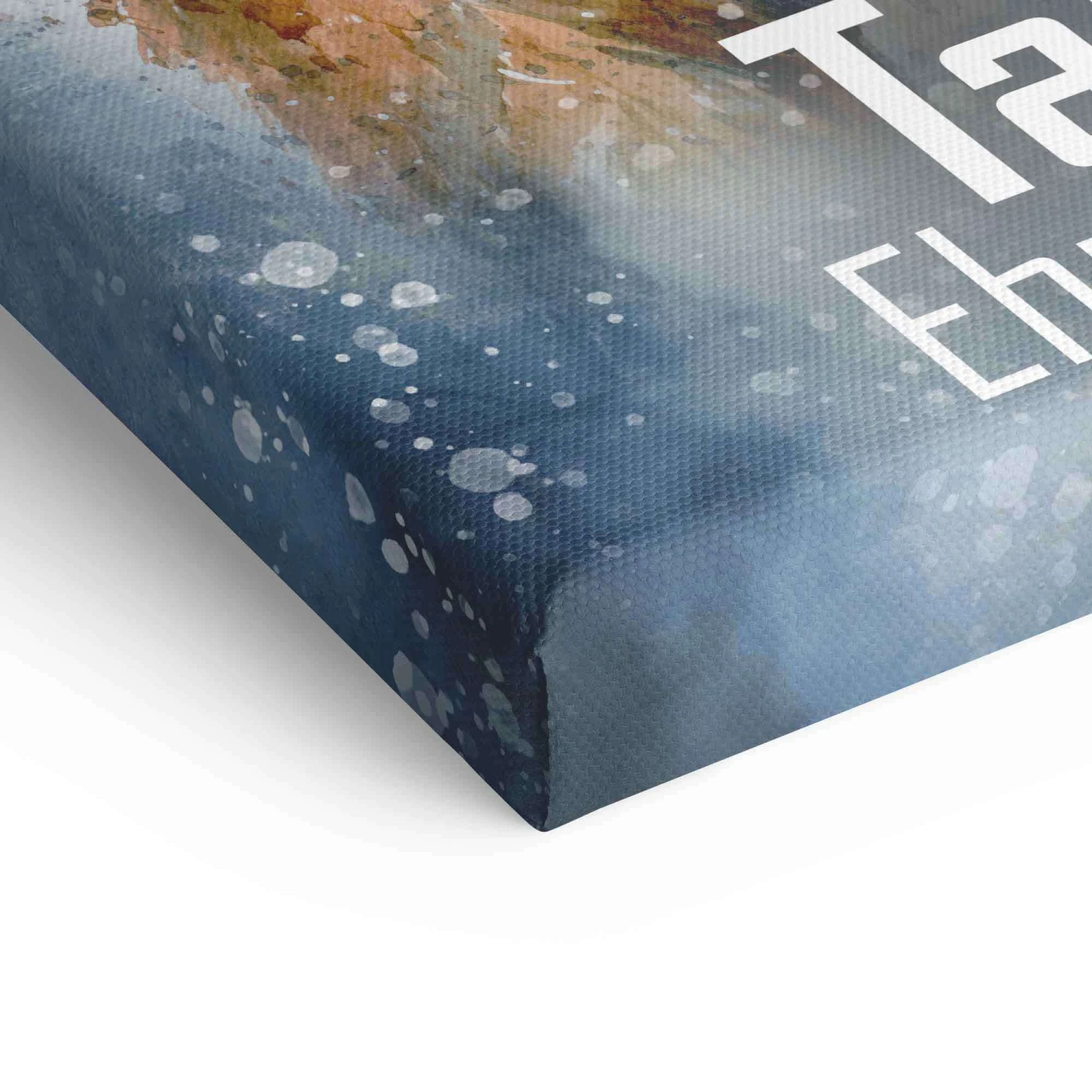 Talent & Ehrgeiz 11 Talent & Ehrgeiz – Bild 9