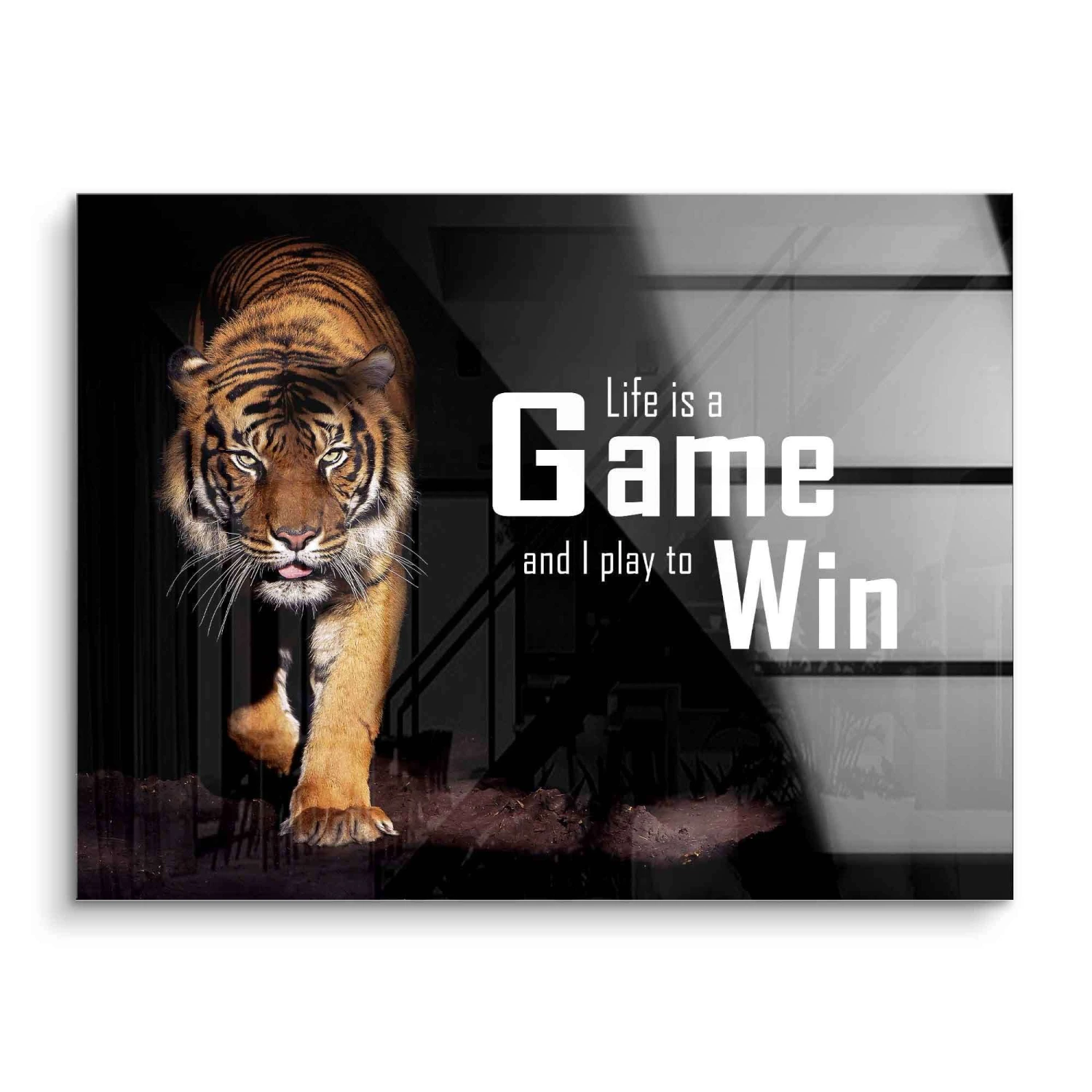 Life Is A Game - Play To Win 4 Life Is A Game - Play To Win – Bild 2