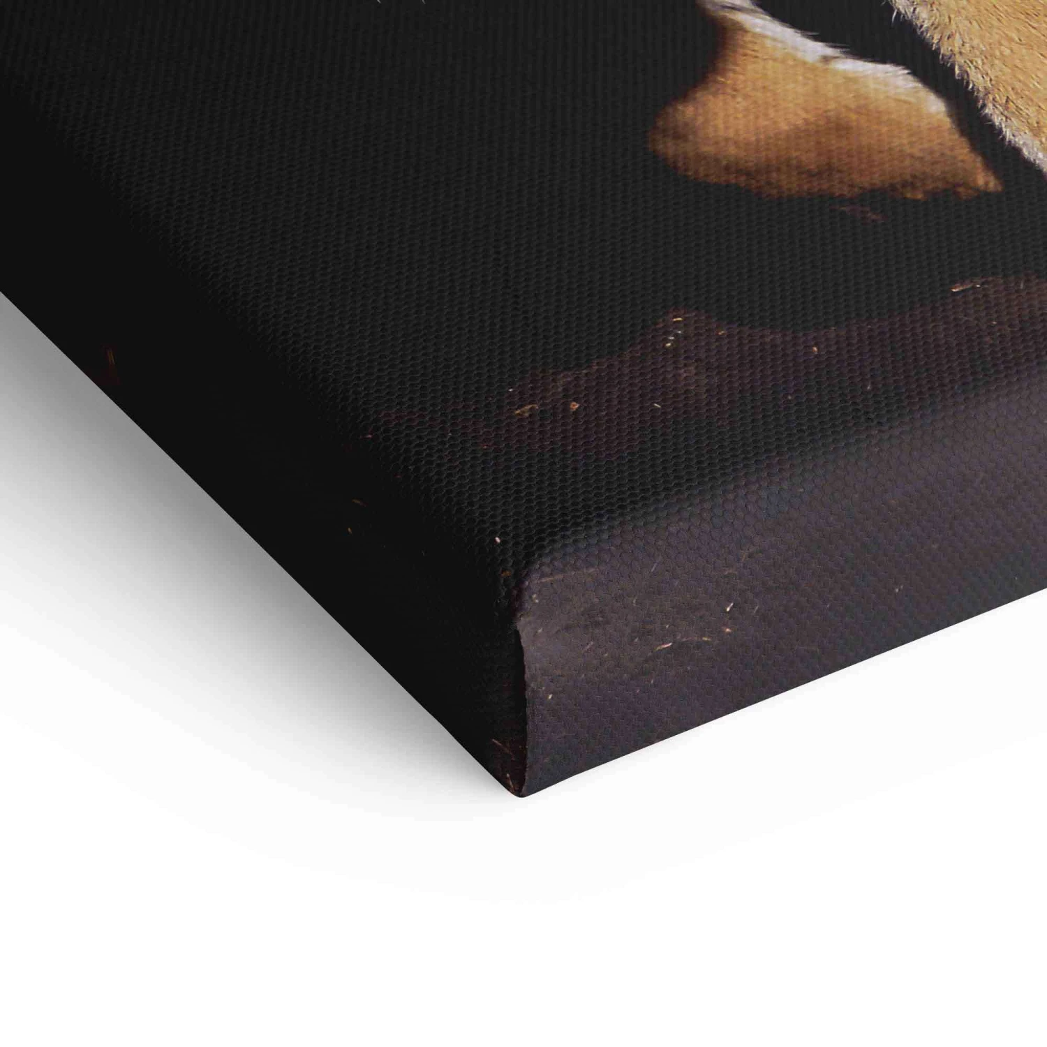 Life Is A Game - Play To Win 13 Life Is A Game - Play To Win – Bild 11