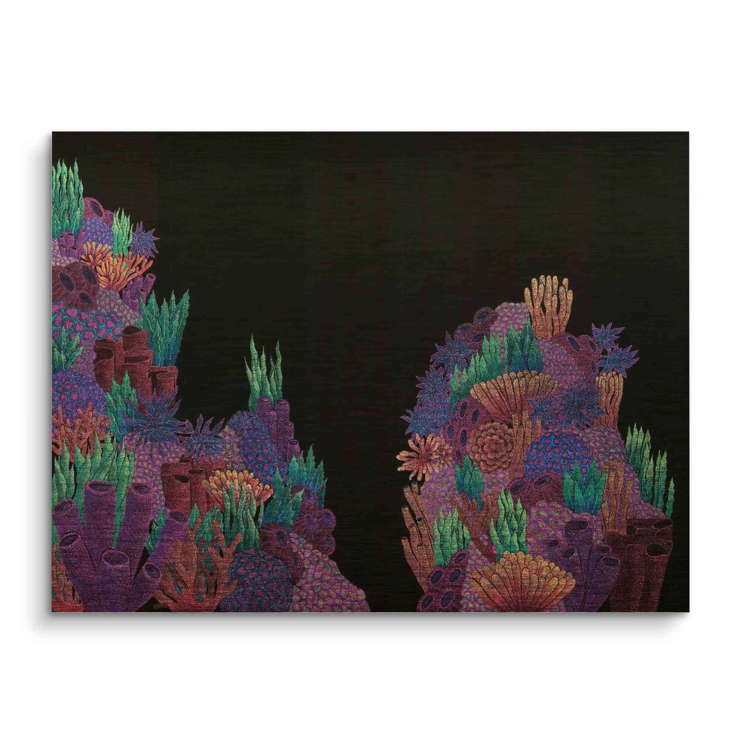 Vivid Colors Of Life 3 Vivid Colors Of Life