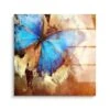 Blue Butterfly 1 Blue Butterfly -Artmind wandbild blue butterfly artmind bild acryl