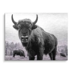 Auerochsen Bulle 16 Auerochsen Bulle -Artmind wandbild bulle schwarz weiss premium kunstwerk artmind brushed