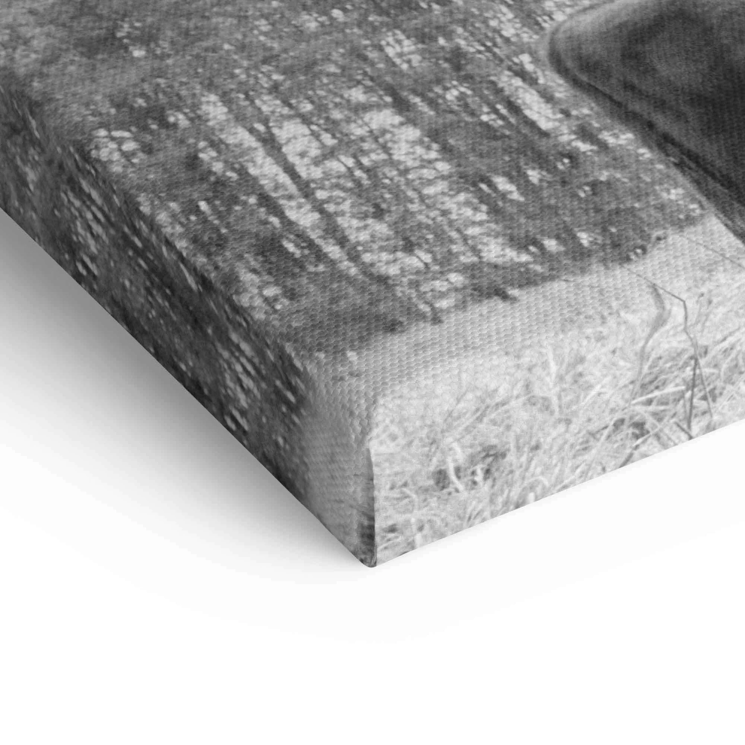 Auerochsen Bulle 10 Auerochsen Bulle – Bild 8