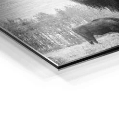 Auerochsen Bulle 22 Auerochsen Bulle -Artmind wandbild bulle schwarz weiss premium kunstwerk artmind detial brushed