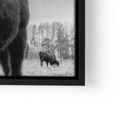 Auerochsen Bulle 24 Auerochsen Bulle -Artmind wandbild bulle schwarz weiss premium kunstwerk artmind lwrs