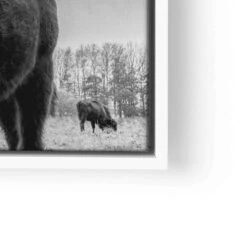 Auerochsen Bulle 25 Auerochsen Bulle -Artmind wandbild bulle schwarz weiss premium kunstwerk artmind lwrw